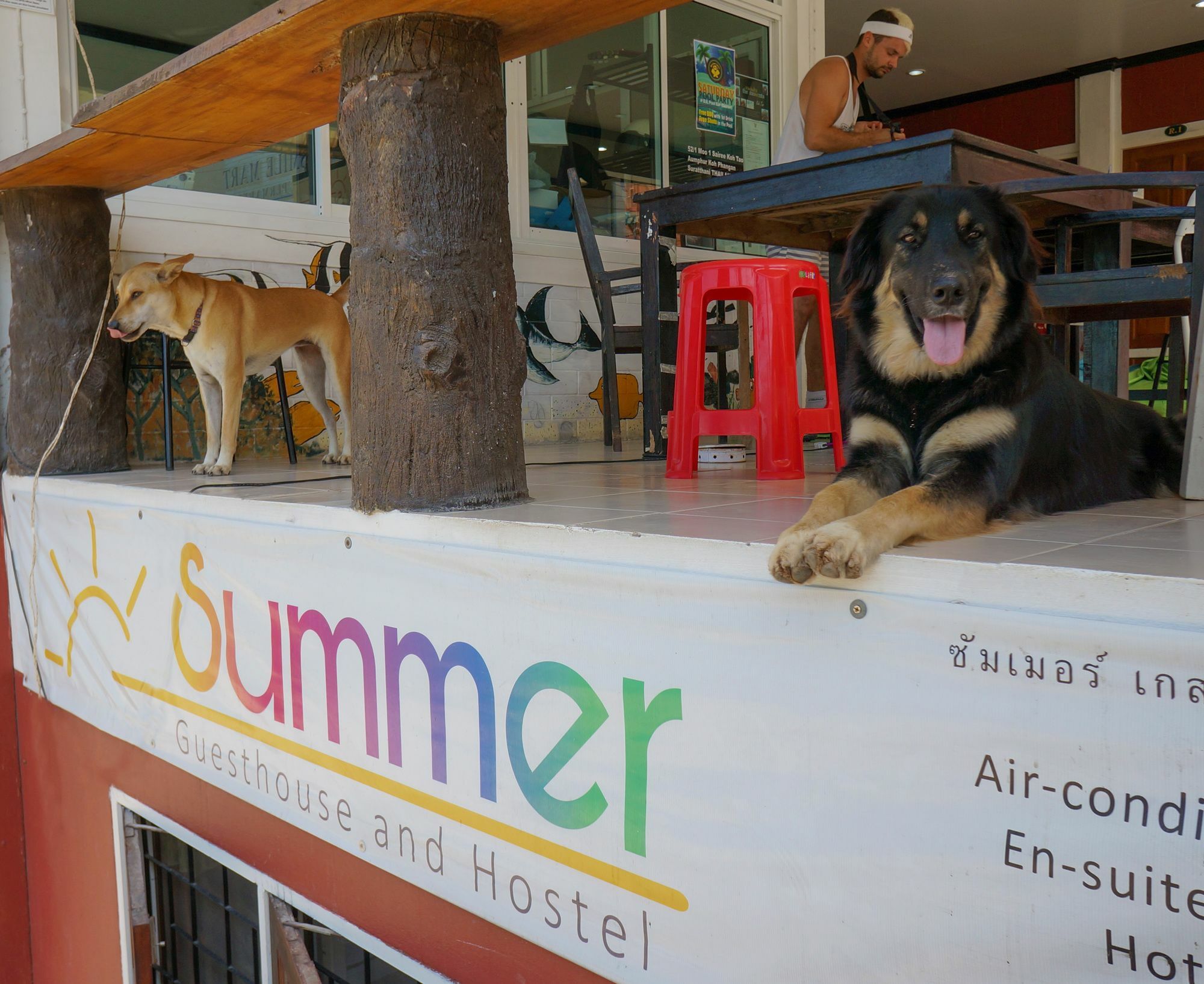 Summer Guesthouse And Hostel Ko Tao Luaran gambar